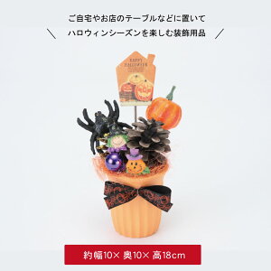 nEB   fBXvC u nEB[ Xܑ CeA fR[V 킢  S[Xg pvL ڂ ΂ H