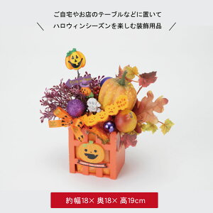 nEB   fBXvC u nEB[ Xܑ CeA fR[V 킢  S[Xg pvL ڂ ΂ H