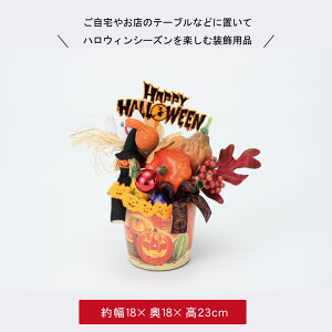 nEB   fBXvC u nEB[ Xܑ CeA fR[V 킢  S[Xg pvL ڂ ΂ H