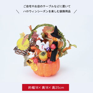 nEB   fBXvC u nEB[ Xܑ CeA fR[V 킢  S[Xg pvL ڂ ΂ H