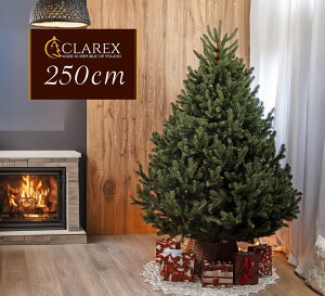 ���[���b�p���[�J�[�uCLAREX�v���̍����N���X�}�X�c���[ �k�� ������� ���킢�� 250cm �|�[�����h �k�[�h�c���[ �I�[�i�����g ���� �Ȃ� �܂�Ŗ{�� sosna