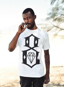 REBEL8 (���x���G�C�g) T�V���c STANDARD ISSUE LOGO T-SHIRT WHITE (Mike Giant) �}�C�N�E�W���C�A���g