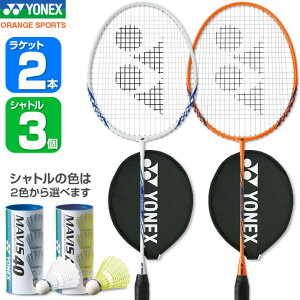 バドミントンラケット 2本の人気商品・通販・価格比較 - 価格.com