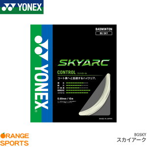 y5͓XSiP2{!}\N[|zzzlbNX oh~g XJCA[N SKYARC BGSKY XgO Kbg Q[WF0.69mm  Rg[