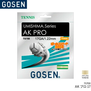 �y23��20���`���������}���\��!�ő�360�~���N�[�|������܂��z�S�[�Z�� GOSEN AK�v��17�i�`������ AK PRO 17 TS708 �e�j�X �K�b�g �X�g�����O �Q�[�W�F1.22mm(17GA.) �����F12.2m(40FT.)