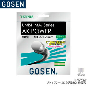 �S�[�Z�� GOSEN AK�p���[16 20����(�܂Ƃߔ���) AK POWER 16×20 TS712W20P �e�j�X �K�b�g �X�g�����O �Q�[�W�F1.29mm �����F12.2m(40FT.)×20
