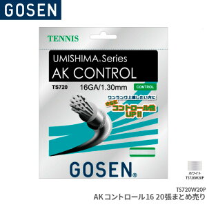 �S�[�Z�� GOSEN AK�R���g���[��16 20����(�܂Ƃߔ���) AK CONTROL 16×20 TS720W20P �e�j�X �K�b�g �X�g�����O �Q�[�W�F1.30mm �����F12.2m(40FT.)×20