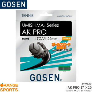 �y23��20���`���������}���\��!�ő�360�~���N�[�|������܂��z�S�[�Z�� GOSEN AK�v��17�u���b�N AK PRO 17 TS708BK �e�j�X �K�b�g �X�g�����O �Q�[�W�F1.22mm(17GA.) �����F12.2m(40FT.)