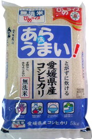 無洗米 あらうまい コシヒカリ10kg(5kg×2袋) 令和5年愛媛県産精米