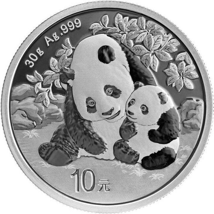 楽天市場】即納 2024 30グラム 中国 パンダ銀貨 40mmクリアケース付き 