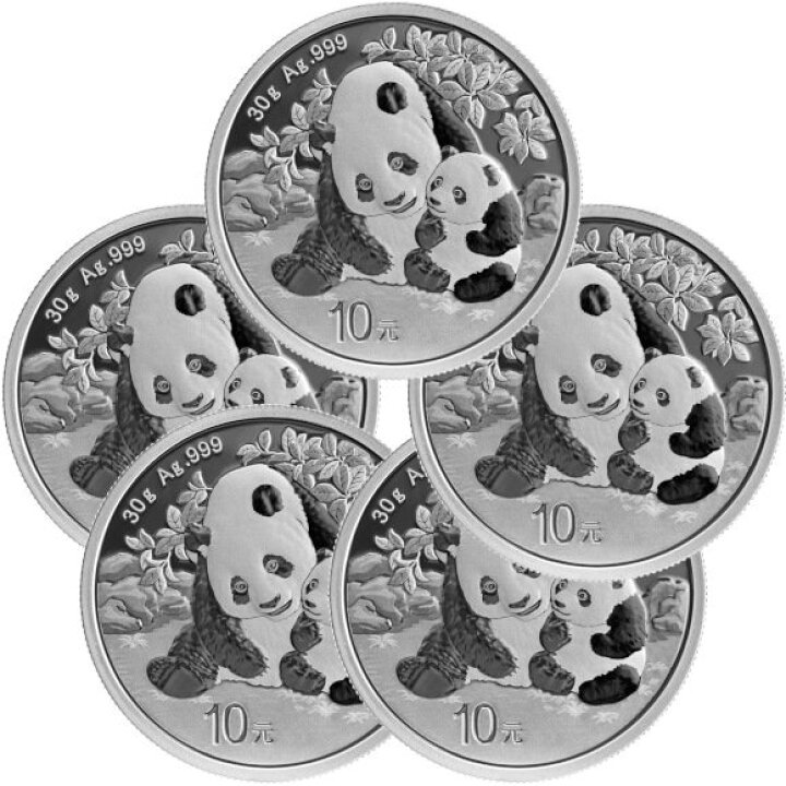 楽天市場】即納 2024 30グラム 中国 パンダ銀貨 □【5枚】セット 40mm 