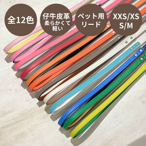 y a-cube zVRev Hi-LINE ybgp[h 12F XXS/XSp`S/Mp / ybgpj [h v U[  pi pi Lpi Lp ybgObY iGCEL[j