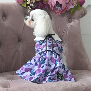 ANNA SUI {^C`F[s t  s[X AiXC 킢  ̎q   o  _bNX PAS1072 TW yAi XCz
