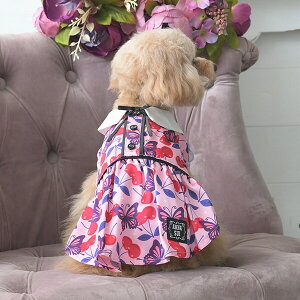 ANNA SUI {^C`F[s t  s[X AiXC 킢  ̎q   o  _bNX PAS1072 TW yAi XCz