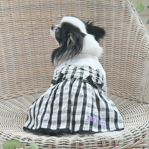 ANNA SUI MK`FbNhbLOs t  s[X AiXC 킢  ̎q   o  _bNX PAS1073 TW yAi XCz