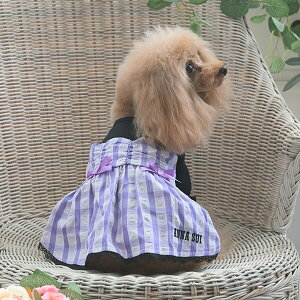 ANNA SUI MK`FbNhbLOs t  s[X AiXC 킢  ̎q   o  _bNX PAS1073 TW yAi XCz