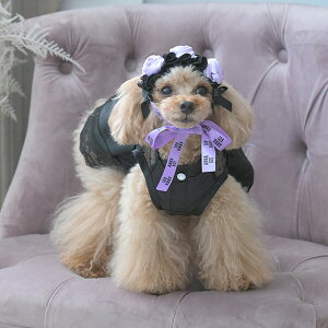 ANNA SUI ofUCwbhhX 2025 H ~ pANZT[ ̎q j̎q 킢   Cxg PAS1082 TW yAi XCz 񂹏i