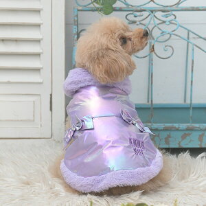 ANNA SUI {tA_ExXg 2025 H ~ _bNX _E 㒅 AE^[ ̎q j̎q OJ 킢   PAS1080 TW yAi XCz