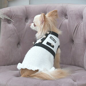 ANNA SUI cC[hjbgs[X 2025 H ~ _bNX s ̎q cC[h 킢   PAS1078 TW yAi XCz