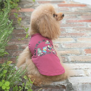 AVIREX tF[hEHbV^N t  悯 N[H tu ^Ngbv gLbg Ȃ bV     ⊴ PAX1078 TW yABbNXz