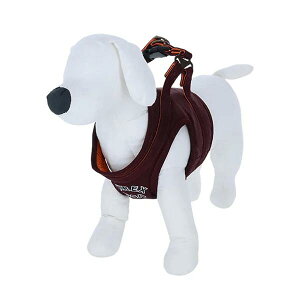 AVIREXiABbNXjMA|1 n[lX    U o PAX7001 TW