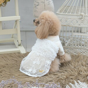 ROPE PICNIC hbLO`[s[X 2025 H ~ _bNX s ̎q 킢   o U Cxg g  PRP1078 TW yysNjbNz