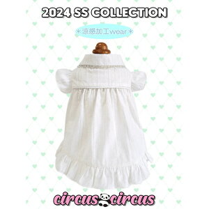 SALE 30OFF circus circus T[JXT[JX Sparkling s N[H CCW-0268    hbOEFA ^ ^ ̎q   s[X