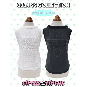 SALE 30OFF circus circus T[JXT[JX Chic Print Mesh ^N CCW-0270 ^Ngbv N[H j̎q ̎q   o ^ ^ bV