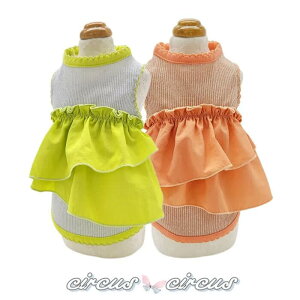 SALE 30OFF circus circus T[JXT[JX Sparkling Lucky ^N ^/^ CCW-0281 p ^N ̎q  t o