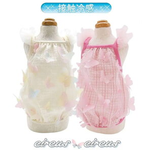 SALE 30OFF circus circus T[JXT[JX Dancing Butterfly L~ ^/^ CCW-0280 p ^N ̎q  t L~ o