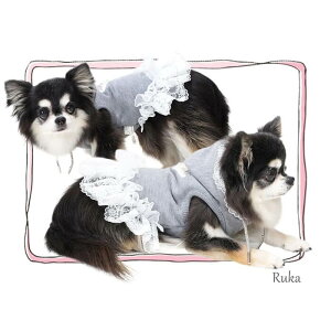 circus circus T[JXT[JX Classy Laced Hoodie ^/^ CCW-0289 gCxA p p[J[ s j̎q ̎q  o