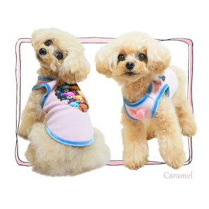 circus circus T[JXT[JX Bling Stuffy Bear ^N ^/^ CCW-0288 gCxA p ^N j̎q ̎q  o