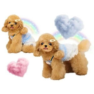 circus circus �T�[�J�X�T�[�J�X Cotton Cloud �����^�� ���^�� CCW-0295 �ڐG�⊴ �N�[���f�� �^���N �^���N�g�b�v �����s�[�X �g�b�v�X ���p �� �� ���Ȃ� ���̎q �j�̎q ������ ���o����