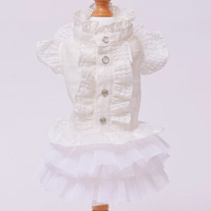 GODPIVA mg[t`FbNs[X t  ̎q t s   킢  `FbN { ubN zCg Sbhso ꕔTCY񂹁