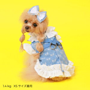 \tI GODPIVA COOLK[[fjn[lX t   j̎q ̎q t n[lX o U   킢 [X fj { Sbhso ꕔ