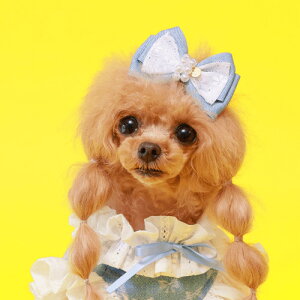 GODPIVA fj[Xob^ t  p wAANZT[  { fj  킢 o I[V[Y { BLUE LIGHT BLUE 񂹏i