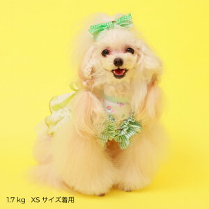 GODPIVA COOL K[ft[^N t   N[H  j̎q ̎q t Ȃ   킢 s 悯 { u[ O[ CG[ Sbhso ꕔ