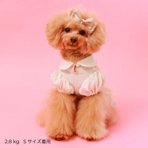 GODPIVA COOLhbg`[ts[X t   N[H 悯 ̎q t s [X   킢 { u[ AC{[ sN Sbhso ꕔ