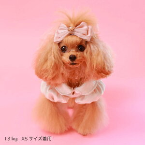 GODPIVA COOLhbg`[ts[X t   N[H 悯 ̎q t s [X   킢 { u[ AC{[ sN Sbhso ꕔ