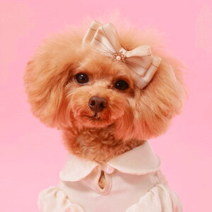 GODPIVA Vo[Cob^ t  p wAANZT[  { rW[  킢 o I[V[Y { BLUE BEIGE PINK 񂹏i