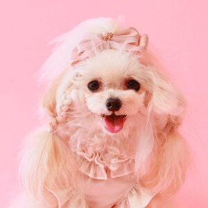 GODPIVA Vo[Cob^ t  p wAANZT[  { rW[  킢 o I[V[Y { BLUE BEIGE PINK 񂹏i