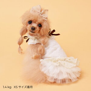 GODPIVA COOL t[``s[X t  ̎q t s   킢 { { sN AC{[ Sbhso 񂹏i