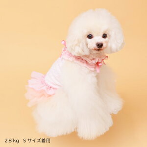 GODPIVA COOL t[``s[X t  ̎q t s   킢 { { sN AC{[ Sbhso 񂹏i