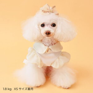 GODPIVA COOLt[`[^N t   N[H  j̎q ̎q t Ȃ   킢 `[ 悯 { sN x[W Sbhso ꕔ