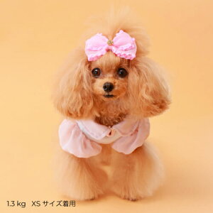 GODPIVA COOLt[`[^N t   N[H  j̎q ̎q t Ȃ   킢 `[ 悯 { sN x[W Sbhso ꕔ