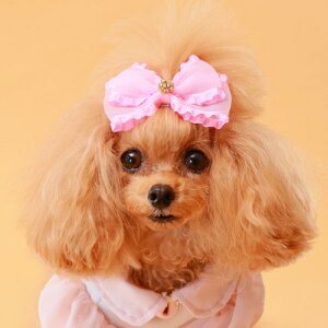 GODPIVA I[KW[tob^ t  p wAANZT[  { t  킢 o I[V[Y { PINK BEIGE 񂹏i