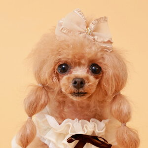 GODPIVA I[KW[tob^ t  p wAANZT[  { t  킢 o I[V[Y { PINK BEIGE 񂹏i