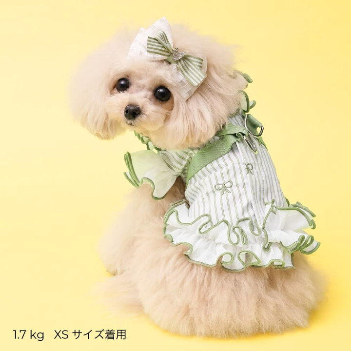 楽天市場】GODPIVA COOLストライプリボンフリルハーネス 犬服 ハーネス 
