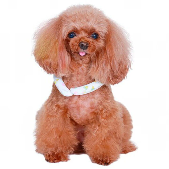 Godpiva Suo 小型犬 熱中症予防 Ice 超小型犬 Xs ゴッドピバ 3色 Ss メリーゴーランド 犬用 28