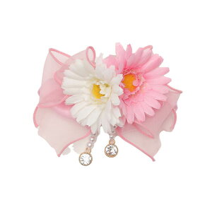 CanNana t̃K[xu[`  ANZT[ sN CG[ t   { S2F  ii AC-037